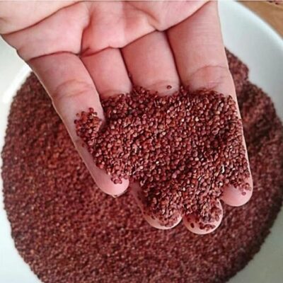 Hạt Đình Lịch Có Tác Dụng Phụ Không? - Tay cầm hạt khô
