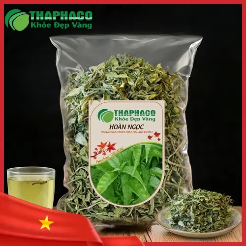 Cây Hoàn Ngọc Trắng thân xanh, lá xanh