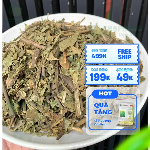 Đặc điểm nhận dạng của lá Hoàn Ngọc