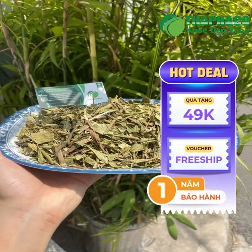 Lưu Ý Khi Sử Dụng Lá Hoàn Ngọc Khô