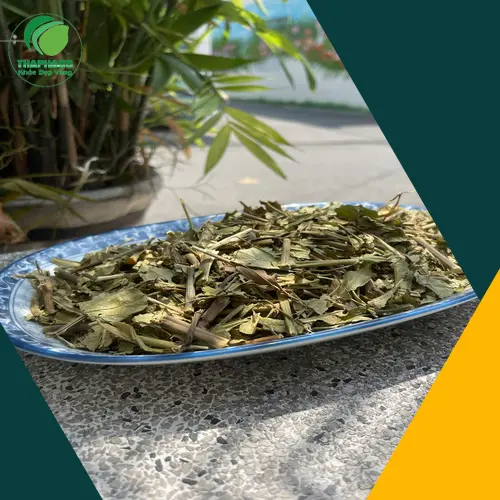 Giải đáp thắc mắc về lá Hoàn Ngọc khi mang thai
