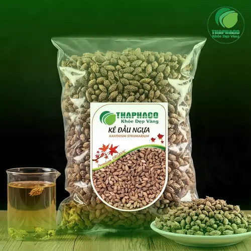 Ké Đầu Ngựa tự nhiên