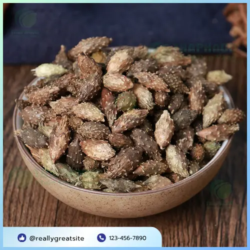 Cách dùng ké đầu ngựa an toàn