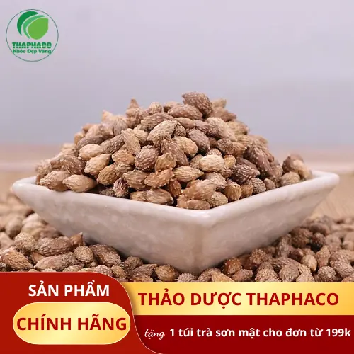 Bác sĩ tư vấn về việc sử dụng thảo dược khi mang thai
