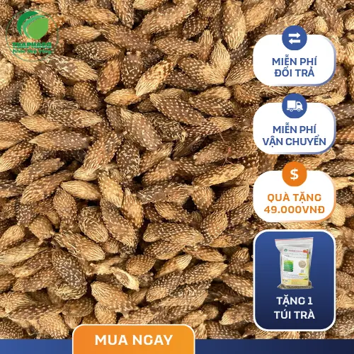 Lưu ý khi sử dụng Ké Đầu Ngựa