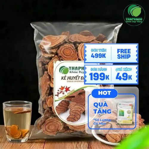 Kê huyết đằng tươi và khô tại THAPHACO