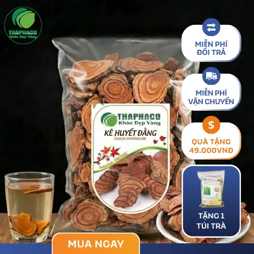 Thân cây Kê Huyết Đằng khô được thái lát tròn