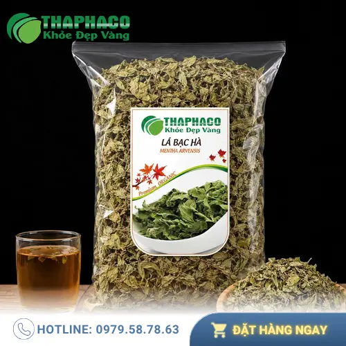Lá bạc hà tươi xanh, nguyên liệu chính để pha trà bạc hà