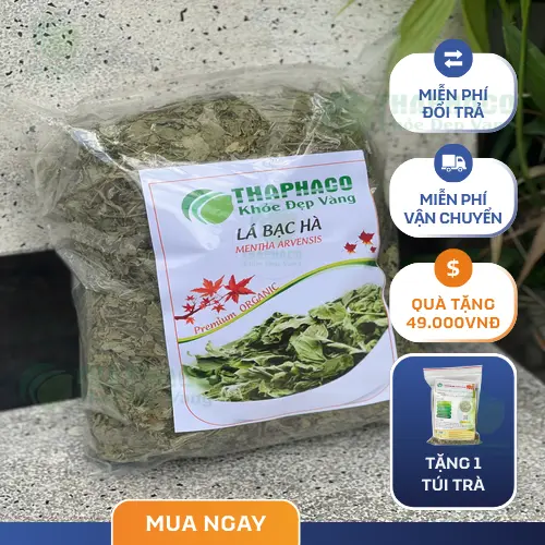 Tách trà bạc hà ấm nóng giúp thư giãn