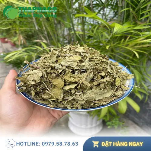 Thưởng thức trà bạc hà an toàn và hiệu quả