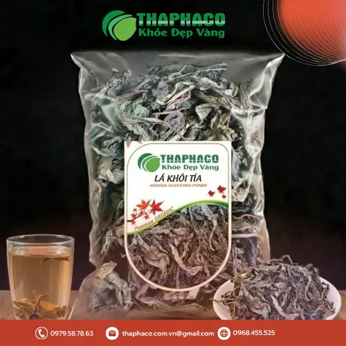 Lá khôi tía tươi và khô
