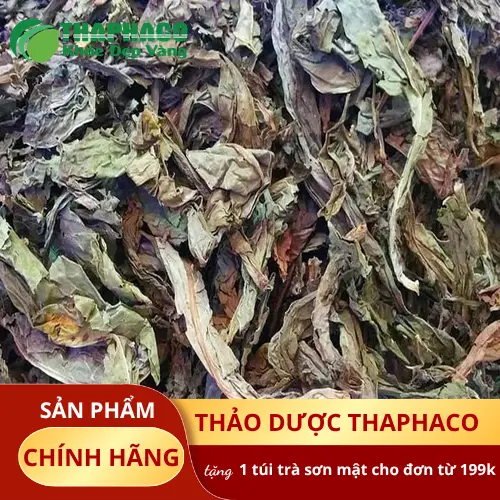 Công dụng hỗ trợ của Lá Khôi Tía khô