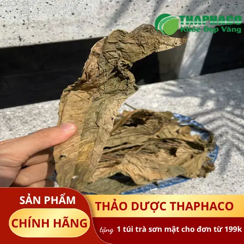 Lá Khôi Tía Khô hỗ trợ tiêu hóa