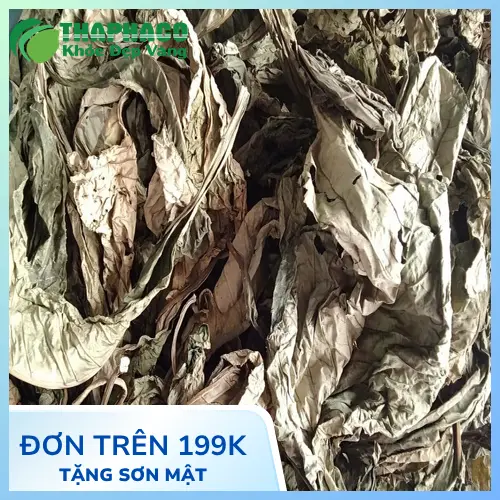Uống trà lá khôi tía đúng thời điểm