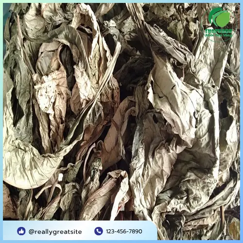 Lá Khôi Tía Khô chất lượng cao
