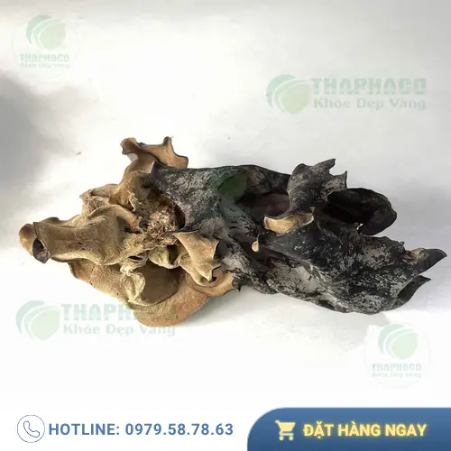Mộc nhĩ khô tại THAPHACO