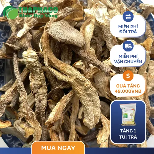 Nấm lộc nhung tươi