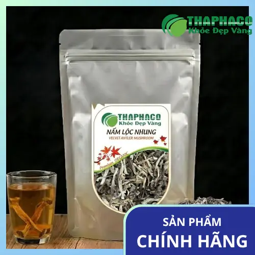 Quy trình sấy khô nấm lộc nhung chất lượng