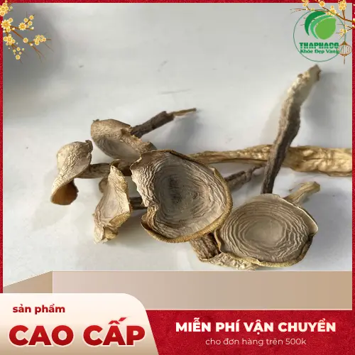 Cách làm sạch nấm lộc nhung tươi