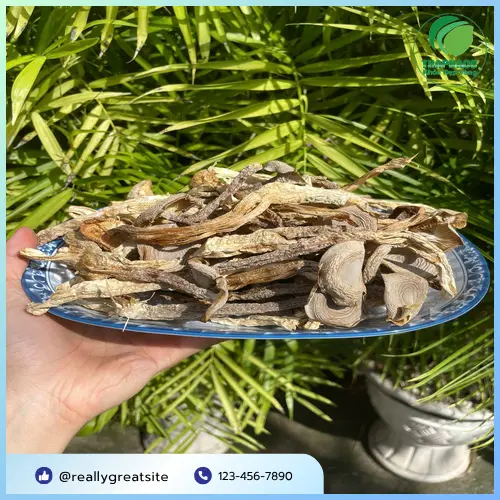 Nấm lộc nhung khô chất lượng cao đóng gói tại THAPHACO