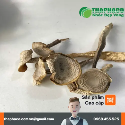 Chế biến nấm lộc nhung trong món chay
