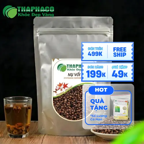 Nụ Vối là gì? Định nghĩa và nguồn gốc cây vối