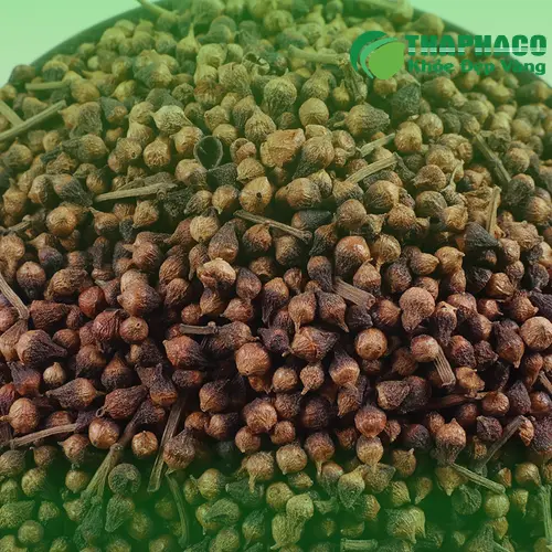 Nụ vối khô đóng gói tại THAPHACO đảm bảo vệ sinh