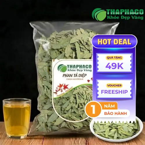 Phan Tả Diệp khô THAPHACO chất lượng