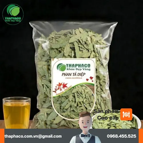 Phan Tả Diệp hỗ trợ tiêu hóa