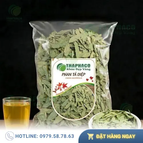Phan Tả Diệp
