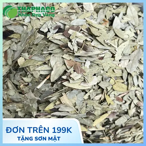 Quy trình kiểm định chất lượng Phan Tả Diệp tại THAPHACO