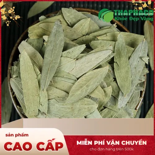 Phân biệt lá Phan Tả Diệp tươi và khô