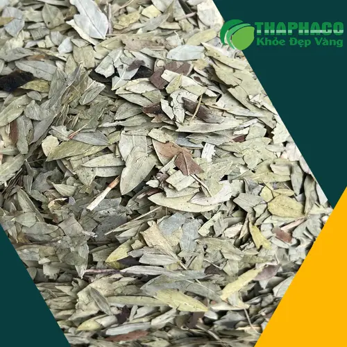Dùng Phan Tả Diệp không đúng cách cho mục đích giảm cân