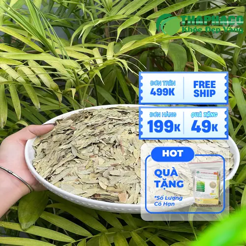 Lợi ích của Phan Tả Diệp