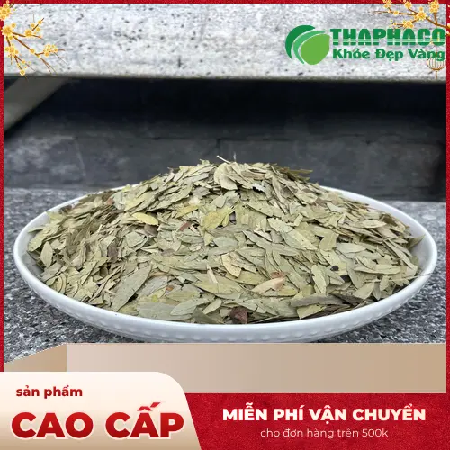 Tác dụng phụ của Phan Tả Diệp