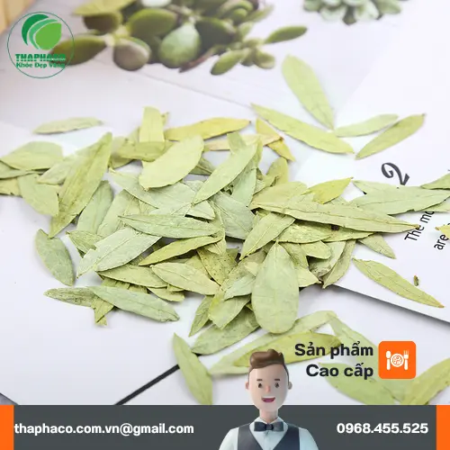 Hướng dẫn sử dụng Phan Tả Diệp khô