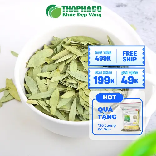 Cẩn trọng khi dùng Phan Tả Diệp cho các đối tượng đặc biệt
