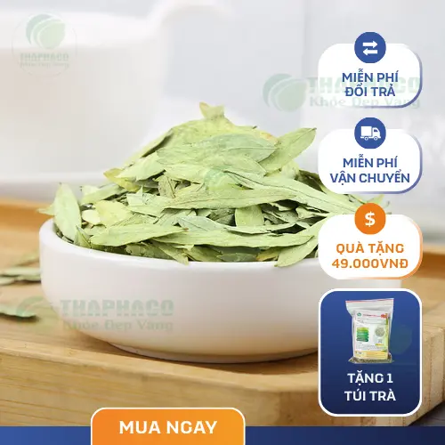 Cách dùng Phan Tả Diệp an toàn