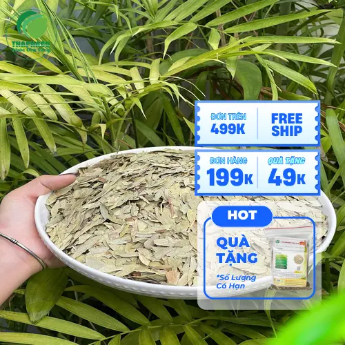 Phan Tả Diệp khô THAPHACO đa dạng quy cách