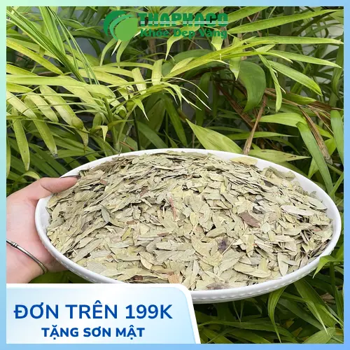 Phan Tả Diệp chất lượng tại THAPHACO