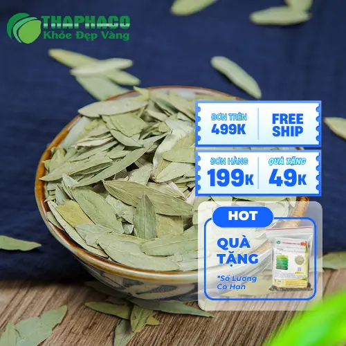 Sản phẩm Phan Tả Diệp khô đóng gói tại THAPHACO