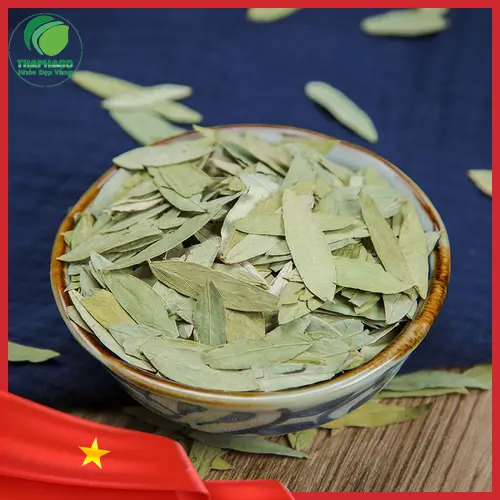 Lưu ý khi sử dụng Phan Tả Diệp