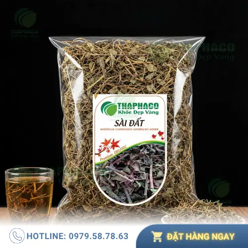 Cây sài đất tươi và đặc điểm
