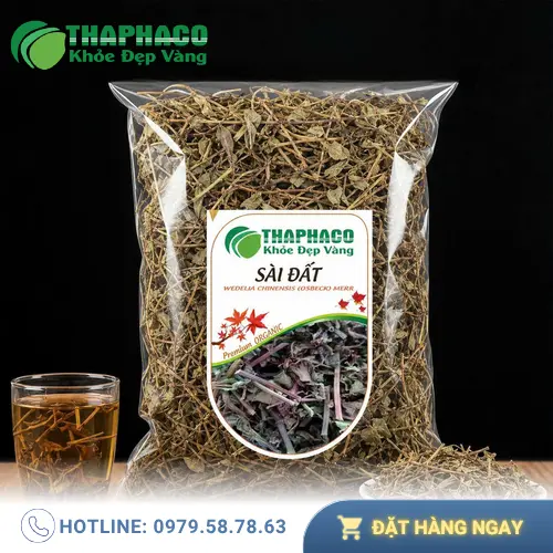 Cây Sài Đất tươi