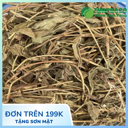 Trẻ nhỏ không nên dùng sài đất sấy khô