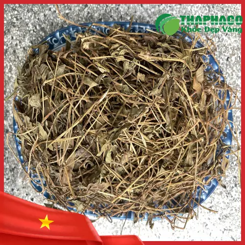 Kho dược liệu Sài Đất Khô tại THAPHACO