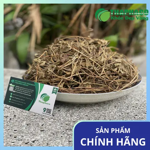 Nước Sài Đất được nấu từ Sài Đất khô