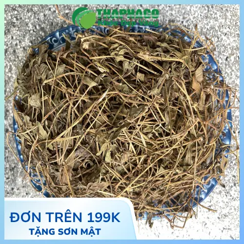 Công dụng hỗ trợ của Sài Đất