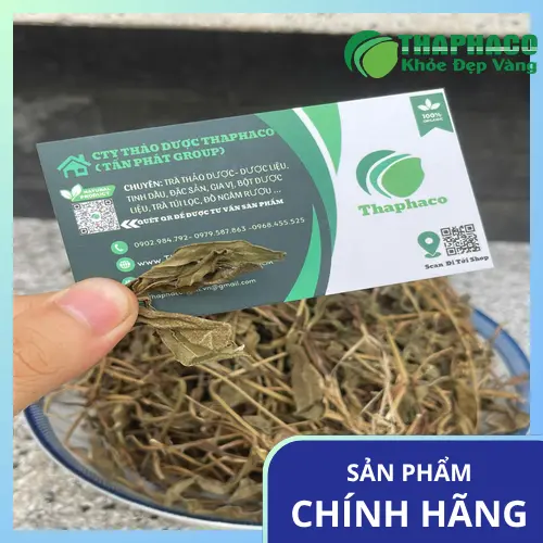 Cách sử dụng sài đất khô an toàn và hiệu quả