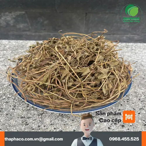 Hướng dẫn cách pha sài đất khô để uống